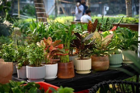 Flea Market (17).jpg